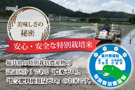 3ヶ月定期便 玄米 令和7年度産 永平寺町産 農薬不使用・化学肥料不使用 特別栽培米 コシヒカリ 5kg×3ヶ月 計15kg  ５キロ 5kg 米  米 お米 コメ 送料無料 こしひかり 福井