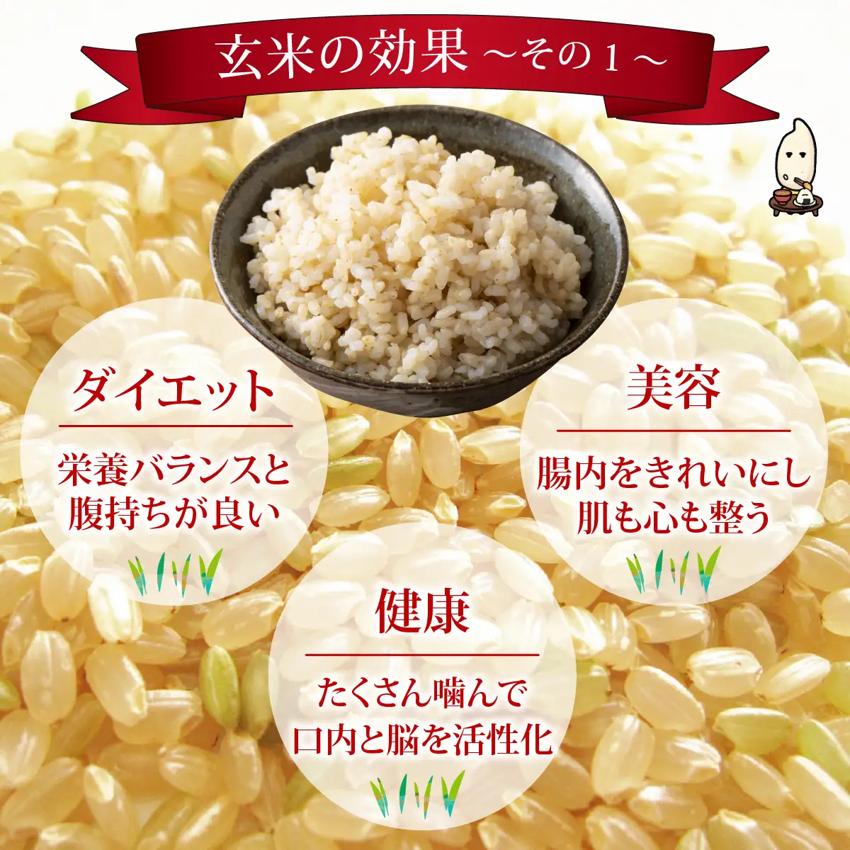 【3ヶ月定期便】【玄米】 令和8年度産　新米 永平寺町産 農薬不使用・化学肥料不使用 特別栽培米 コシヒカリ 10kg×3ヶ月 計30kg 10月上旬より順次発送 １０キロ 10kg 米  米 お米 コメ 送料無料 こしひかり 福井 [H-033070]