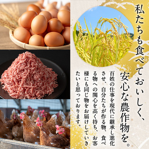 田んぼ豚 ロース スライス 1kg（500g × 2パック) 豚肉 ぶた ブタ しゃぶしゃぶ 生姜焼き 放牧飼育 小分け 【株式会社いなほ】 tm260