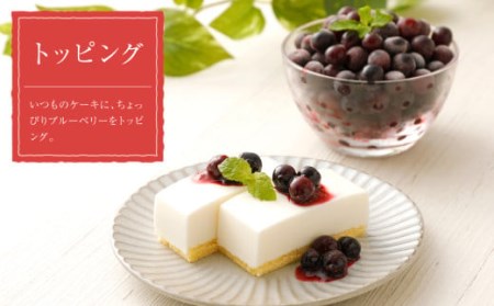 熊本産 小粒 冷凍 ブルーベリー 2kg 果物 フルーツ