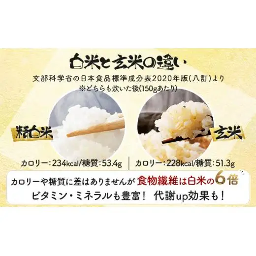 《令和7年産！》『100%自家生産玄米』善生さんの自慢の米 玄米おぼろづき１５kg※一括発送【06128】 