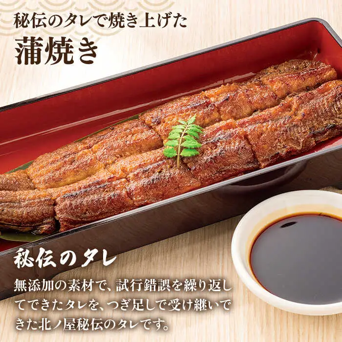 【お中元対象】うなぎ 蒲焼き 2尾 北ノ屋 (梅)  [ACL003] 鰻 うなぎ かばやき