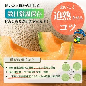 【2026年7月下旬から発送】とままえメロン 1玉 1.6kg前後 大玉サイズ 北海道産 先行 予約 受付 赤肉 甘い 糖度14度 旬 産地直送 めろん フルーツ 果物 デザート 北海道 苫前町 とままえ rum08