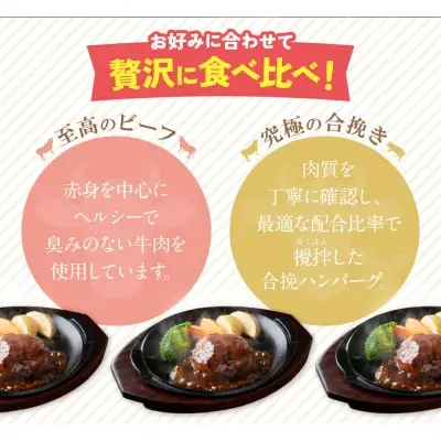 Z61-31F 【ふるなびWEEK対象】どっちのハンバーグ!?デミグラスソース20個セット（ビーフ・合挽 各10個） ハンバーグ