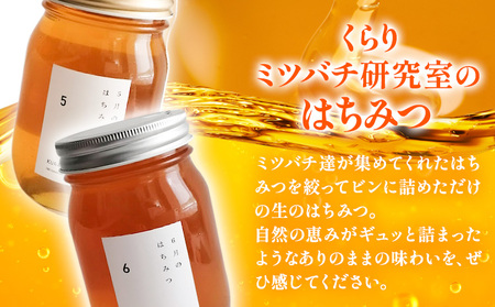 6月のはちみつ 540g KURARI くらりミツバチ研究室《90日以内に出荷予定(土日祝除く)》和歌山県 紀の川市 蜂蜜 ハチミツ 非加熱 純正生はちみつ トースト ヨーグルト st-p