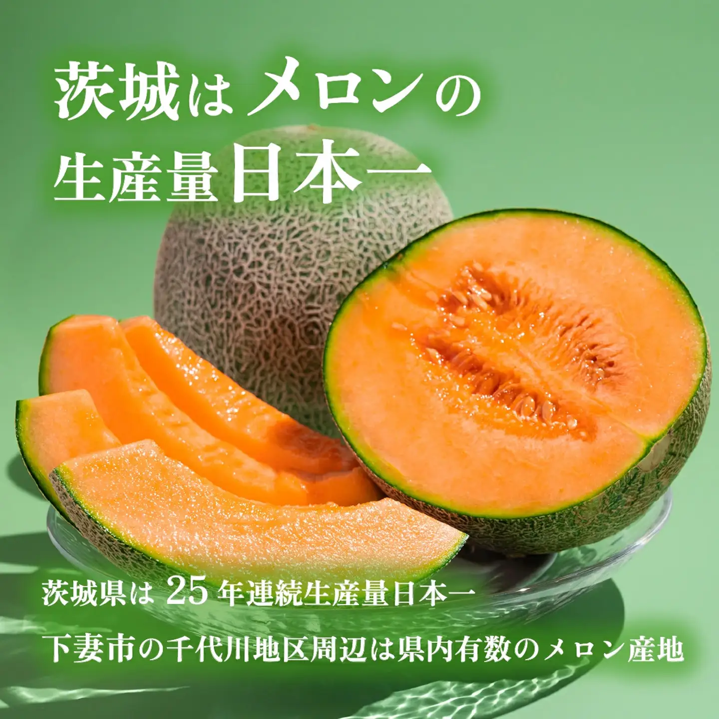 メロン 茨城県産 タカミレッドメロン 秀品 1個
