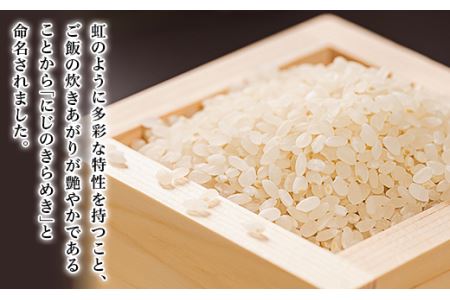 米 にじのきらめき 13kg (5kg×2袋+3kg)【茨城県下妻市産】【米 にじのきらめき 米 茨城 米 茨城県産 米 産地直送 米 JA 新品種 おにぎり お弁当 精米 ストック お米 もちもち 人気 おすすめ】