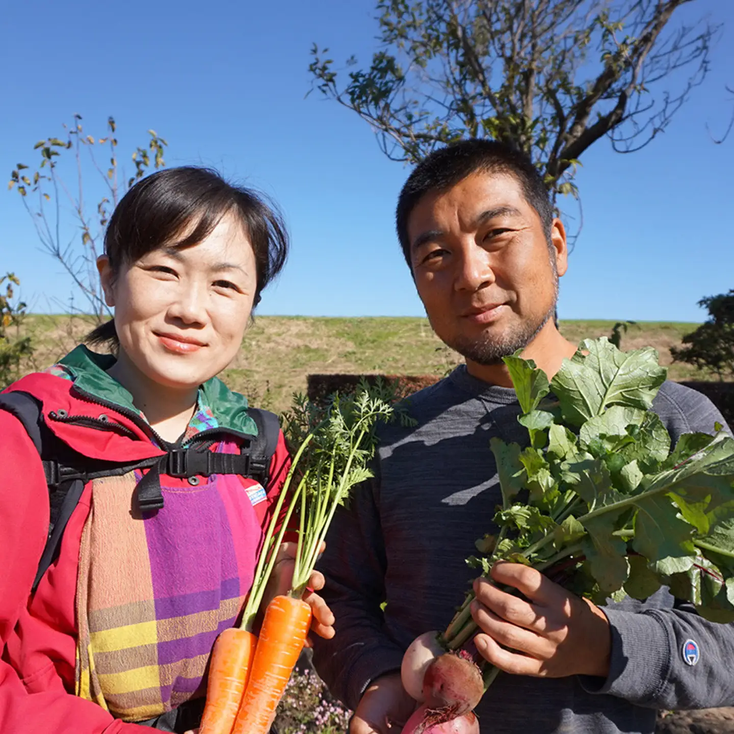野菜 無農薬 農園自慢の情熱野菜セット 11種 【 3ヶ月 連続 お届け 】