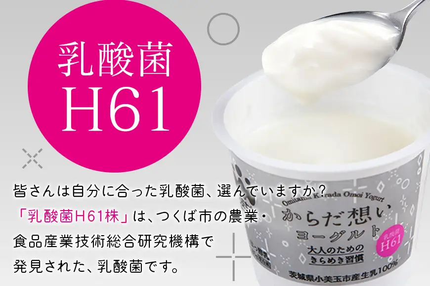 H61乳酸菌『からだ想いヨーグルト』 20個 ×2回発送  1-C