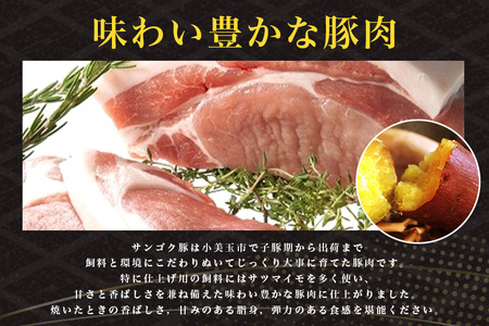 サンゴク豚（バランスセット） 合計2.5kg しゃぶしゃぶ 焼き肉 豚肉 豚バラ肉 ロース 小分け 真空パック しゃぶしゃぶ肉 焼肉用 ブタ肉 国産 茨城県産 ギフト プレゼント 高級部位 2-B
