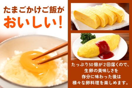2回定期便 卵 計100個 ギフト用化粧箱50個（45＋補償5個）入り ×2回発送 15-D