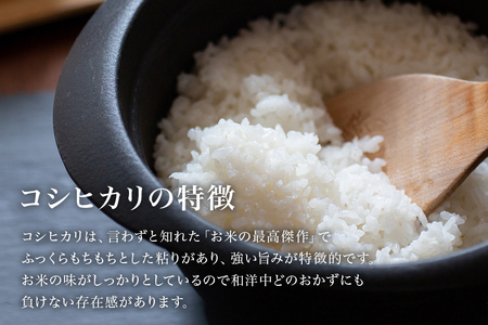【 令和7年産 】小美玉産 コシヒカリ ミルキークイーン 食べ比べ セット 計10kg（各5kg） こしひかり みるきーくいーん 米 10キロ 5キロ 食べくらべ 詰め合わせ 詰合せ 詰め合せ 詰合わせ お米 白米 国産 ごはん おにぎり 弁当 茨城県 小美玉市 17-L