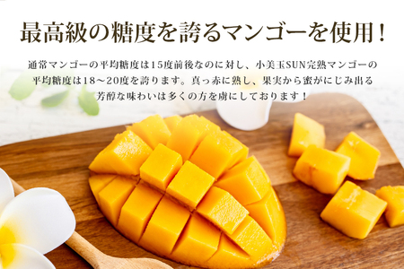 おみたまSUNマンゴーアイスクリーム プレミアム 100g × 8個入り 甘熟マンゴー 限定 ギフト あいす スイーツ デザート 生乳 ミルク 牛乳 国産 茨城県産 19-E
