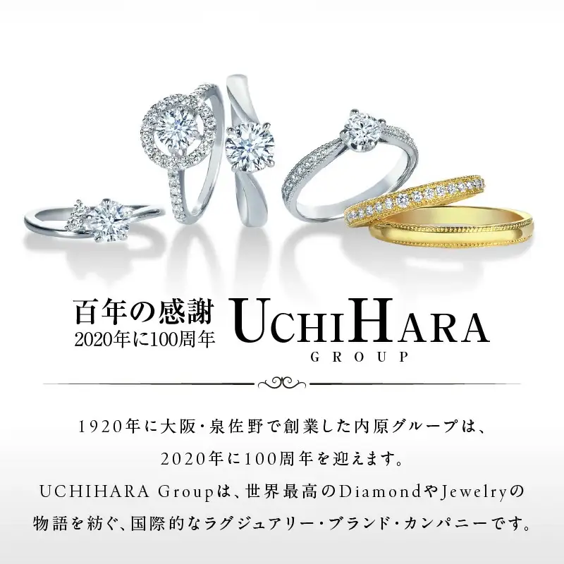ARC-EN-CIEL プラチナ ダイヤピアス（計0.5ct）
