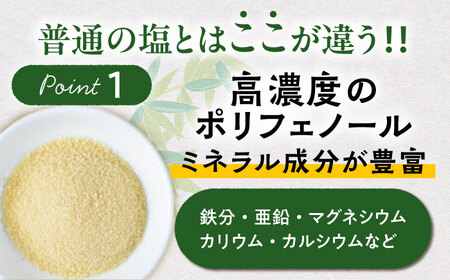 北のささ塩 100g×13袋《足寄町》【株式会社北のささ】 [BEAR002]