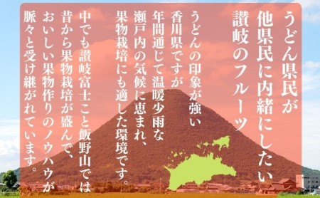 柿 富有柿 約7.5kg カキ カキ 配送：10月中旬～