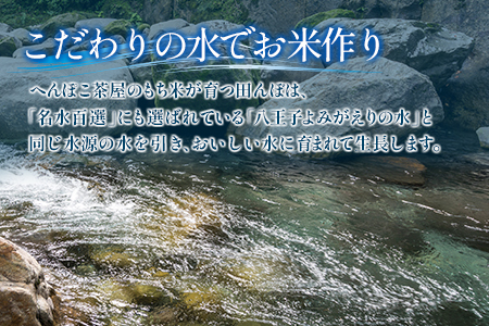 おもち よもぎ餅 20個 へんぽこ茶屋 つきたてよもぎ生餅 つきたて冷凍_HE057_001