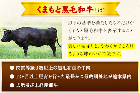 くまもと黒毛和牛 ロースステーキ約200g×3枚 肉のさかえ屋 くまもと 黒毛和牛《60日以内に出荷予定(土日祝除く)》 st-p