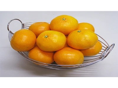【マル曽】曽保みかん(約10kg)