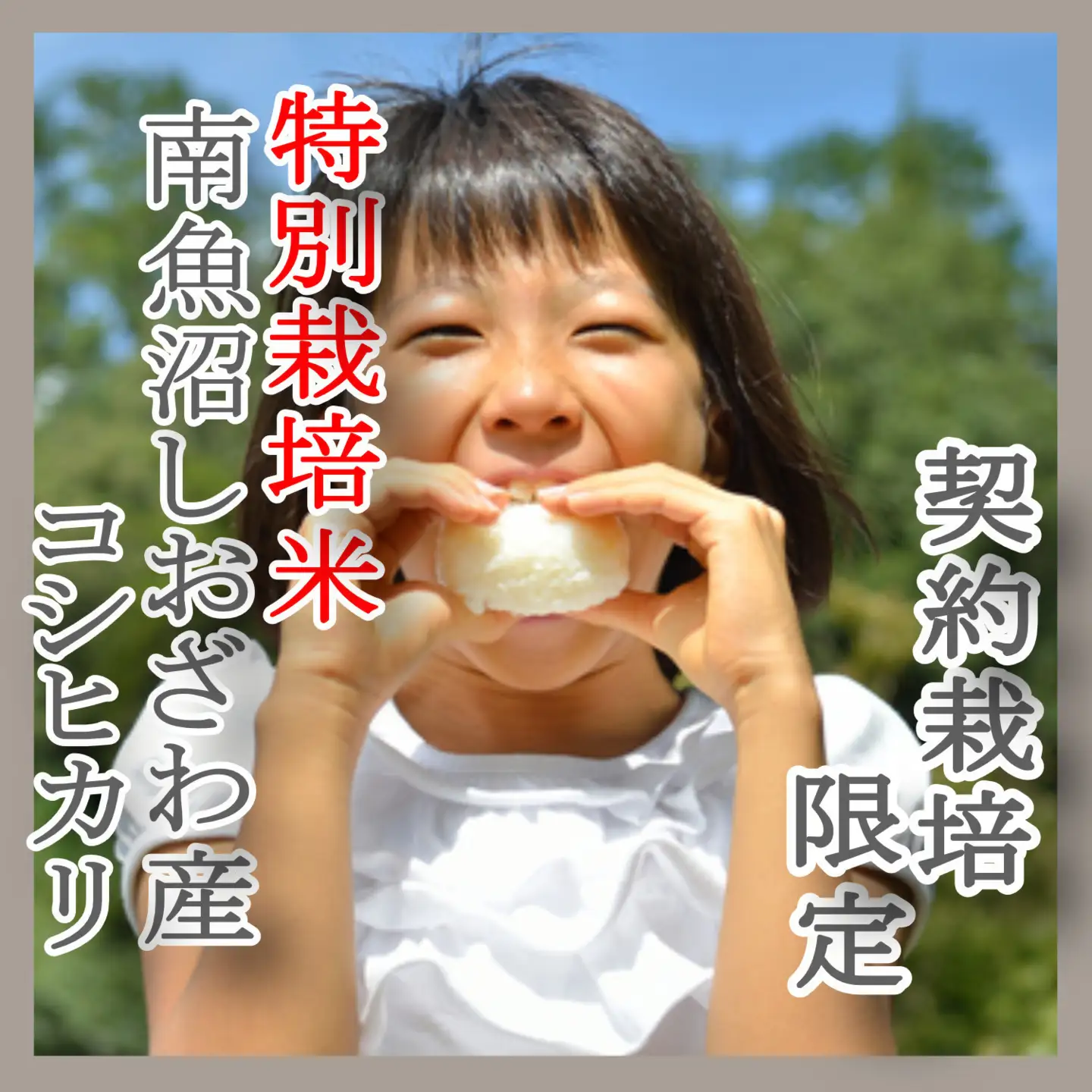 【令和7年産】※定期便：5Kg×3ヶ月※特別栽培 生産者限定  南魚沼しおざわ産コシヒカリ【定期便 銘柄米 ブランド米 精米 こしひかり コシヒカリ 魚沼産 新潟米 産地直送 お米 米 こめ コメ ご飯 御飯 ごはん】
