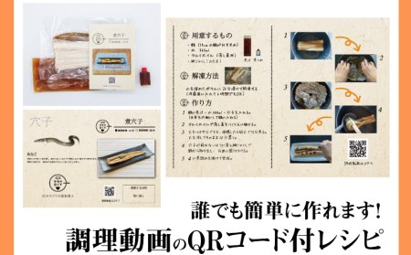 【定期便3回】 サカナDIY 定期便 冷凍 2人前 鮮魚 CX