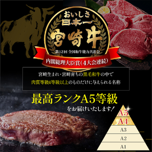 A5等級 宮崎牛 ヒレステーキ 160g×4枚セット ステーキ 