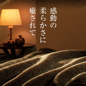 カルドニード・エリート 掛け毛布 ブラウン ダブル (180×200cm) [4221]