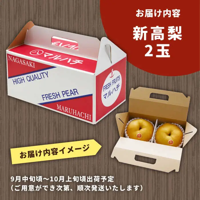【2026年9月中旬?発送】【シャリッと食感がたまらない！】新高梨 2玉 / 梨 なし 南島原市 / ふるさと企画 [SBA007]