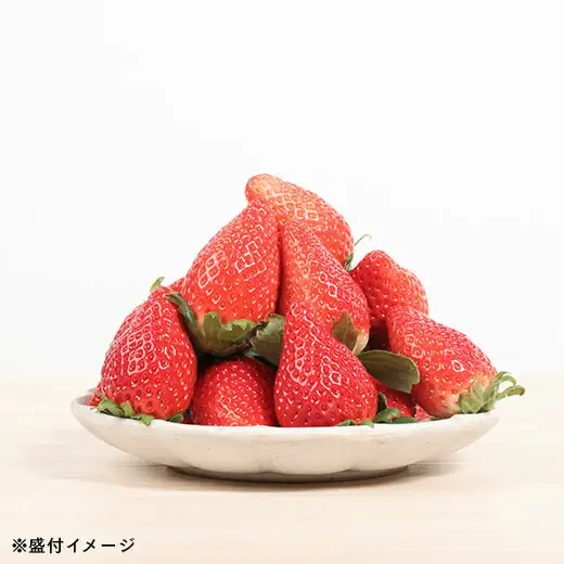 伊賀いちご園のプレミアムBOX (厳選15粒化粧箱入り) | ふくはる香 ゆうやけベリー