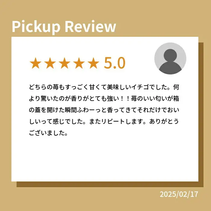 伊賀いちご園のレギュラーパック 280g×4パック | ふくはる香 ゆうやけベリー