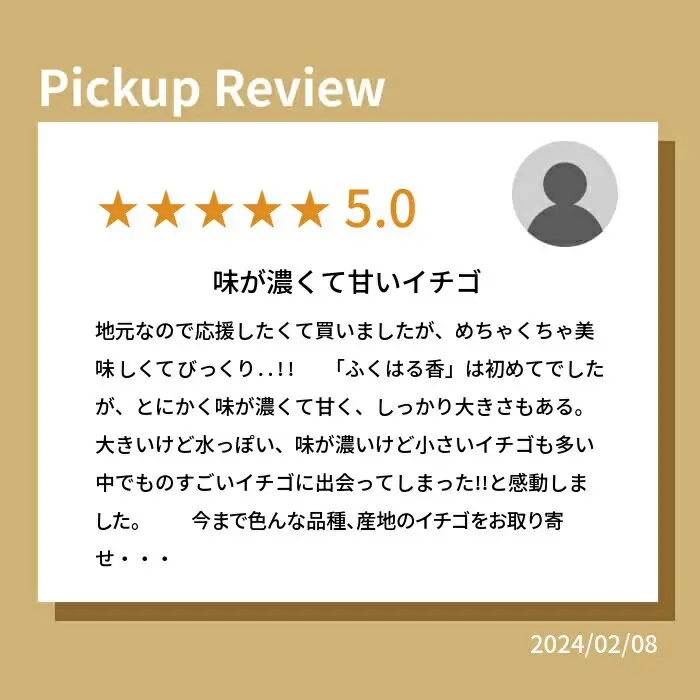 伊賀いちご園のおまかせ 280g×4パック | ふくはる香 ゆうやけベリー