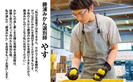 谷内青果 特選 早生みかん 秀品 S-Lサイズ 5kg