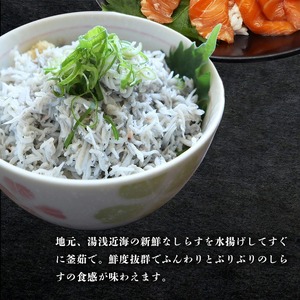 紀州湯浅醤油を使ったサーモンとカンパチの漬け＆釜揚げしらすの 海鮮丼 3種セット 計300g (100g×3種)_G7019