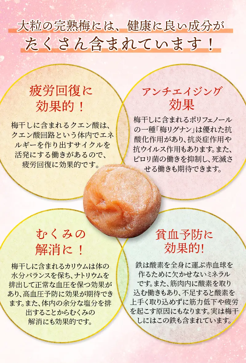 梅干し 無添加 完熟南高梅  2.5kg 塩分約20％ 梅干し【njb647A】