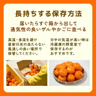 【先行予約】贈答品 愛媛みかん 3kg 傷み補償 250g 清家ばんかんビレッジ
