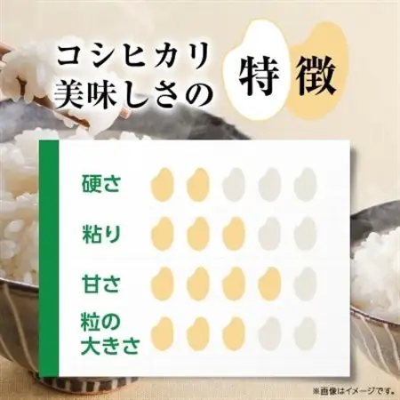 令和7年産かすみがうら市産コシヒカリ  精米  5kg_茨城県産 こしひかり 5kg 米 ご飯_【1268974】