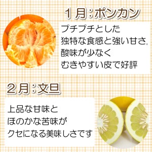 旬の 柑橘類 食べ比べ 定期便 6回 清家ばんかんビレッジ 家庭用 訳あり レモン 愛媛みかん ポンカン 文旦 不知火 河内晩柑 温州みかん 大きさ 不揃い 傷 愛媛県 愛南町 (柑橘定期便 みかん定期便 食べ比べ定期便 定期便 6回 清家ばんかんビレッジ定期便)