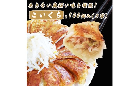 浜松餃子 大須のぎょうざ［ 浜松ぎょうざ まろやか風味＜ こいくち味 ＞］×5袋（1袋20個入、合計100個） 加工品 惣菜 冷凍ギョーザ 夕飯 つまみ おかず 中華 点心 手作り 焼餃子 水餃子 