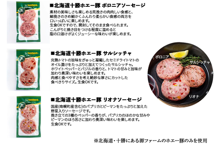 北海道産 ソーセージセット  おかず お弁当 おつまみ ソーセージ 肉 食品 北海道 南幌町 NP1-165