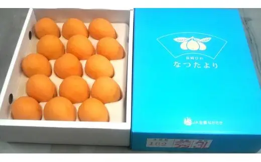 長崎びわ「なつたより」1kg＜先行予約／数量限定＞｜びわ