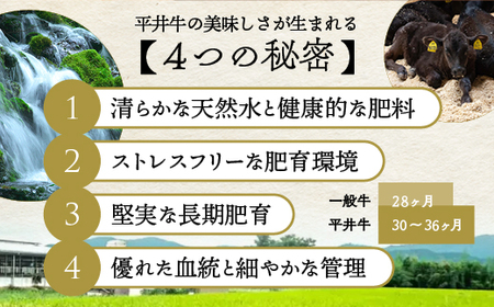 【7営業日以内発送】平井牛 サーロインステーキ 200g ステーキ