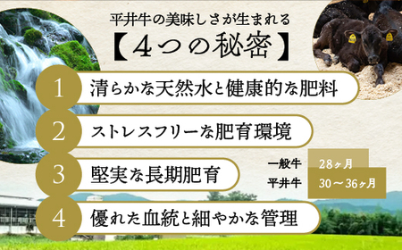 【7営業日以内発送】平井牛 赤身ステーキ 2枚 計300g ステーキ
