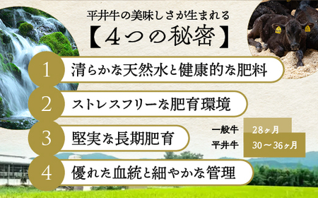 【7営業日以内発送】平井牛 ミンチ 500g ミンチ 牛ミンチ ミンチ 牛肉ミンチ