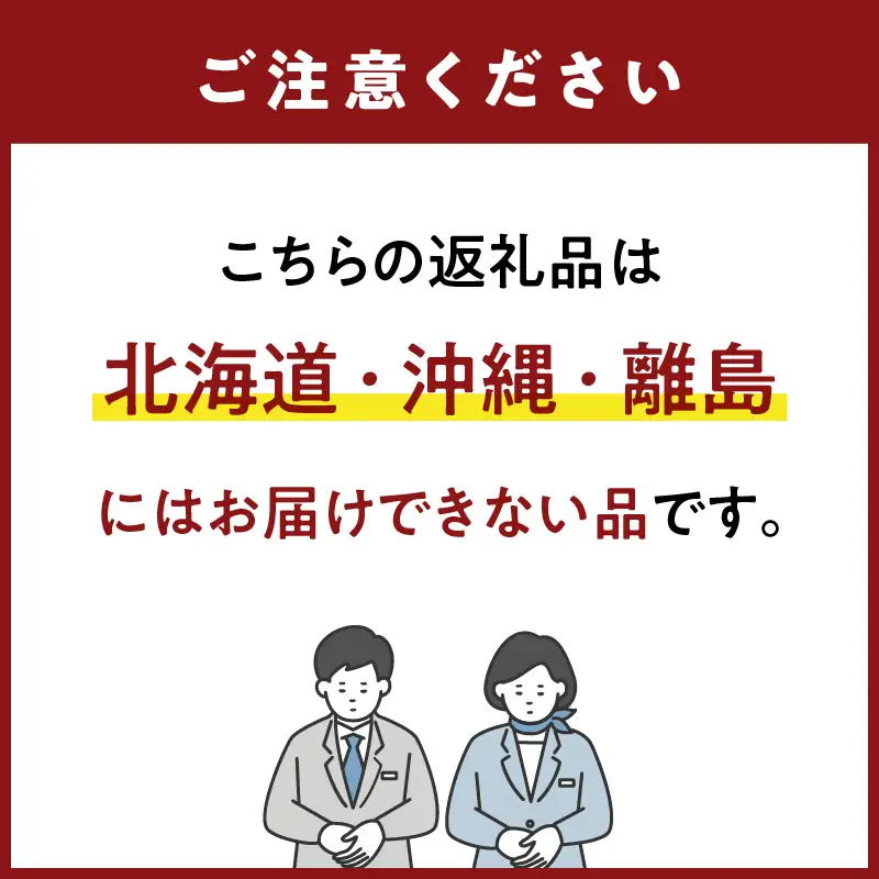 【2027年3月配送開始】福岡・博多名物ブランドいちご「あまおう」4パック 合計約1,080g ＜配送不可：北海道・沖縄・離島＞ 072-137