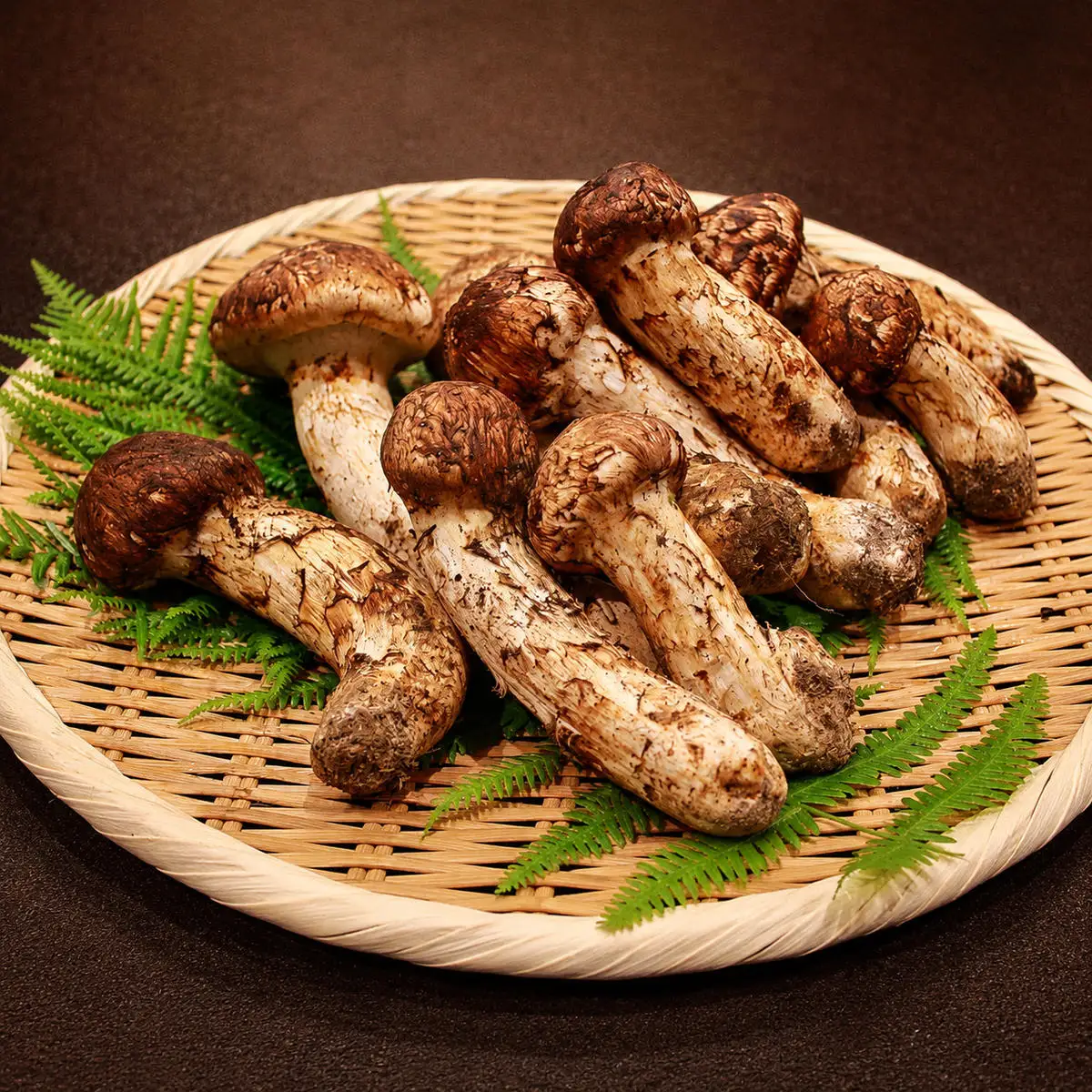 【極】【数量限定】【期間限定】京都丹波松茸の詰め合わせ 200gまつたけ 京都産 200g