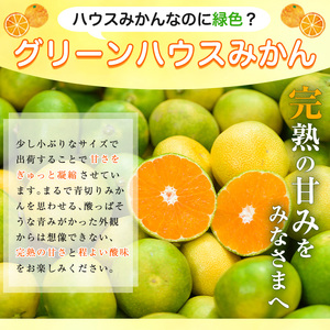 No.148 ＜先行予約受付中！2026年7月下旬から発送＞鹿児島県産 グリーンハウスみかん(計3kg) みかん ミカン 蜜柑 3kg 柑橘 果物 フルーツ 小ぶり 青果 果実 鹿児島 ギフト 贈答 プレゼント【黒川農園】