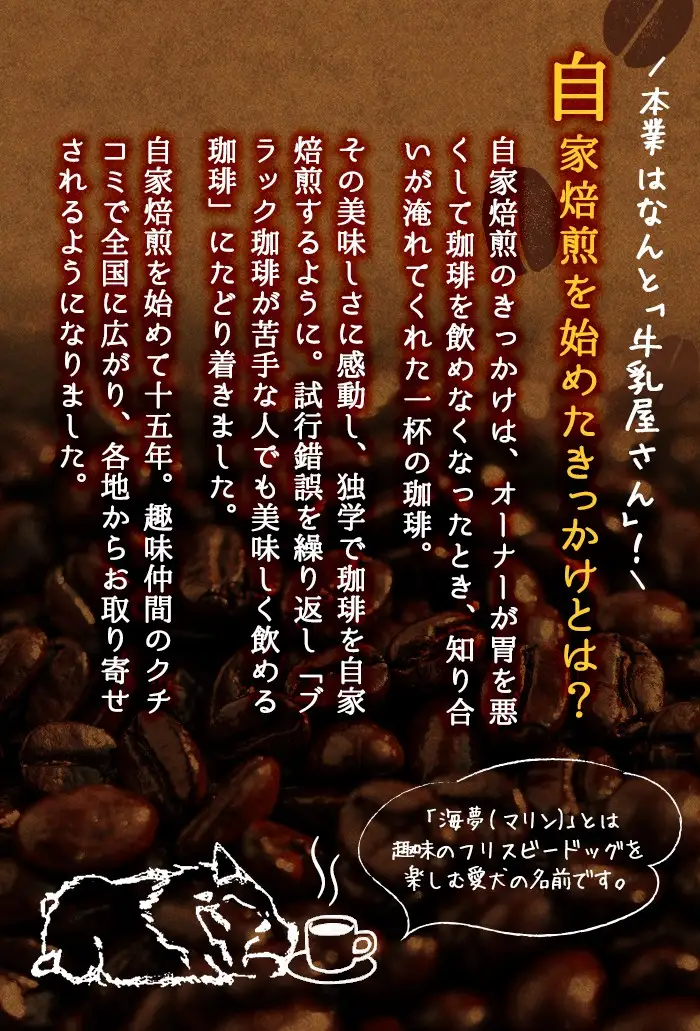 No.202 ＜コーヒー豆＞自家焙煎コーヒー「海夢珈琲(マリンコーヒー)」(200g×3袋・計600g)飲料 コーヒー コーヒー豆 自家焙煎 ブレンドコーヒー オリジナルブレンド 常温保存【HARU工房】