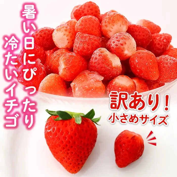 No.362 ＜訳あり・小粒＞ころころサイズの冷凍いちご(計約2.55kg・850g×3袋) 訳あり 訳アリ いちご イチゴ 苺 冷凍 果物 フルーツ 国産 九州産 鹿児島県産 減農薬 アイス 不揃い 規格外【片平観光農園】