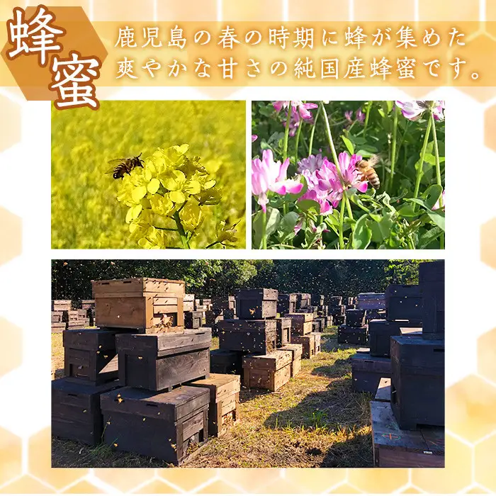 No.386 鹿児島春の花の蜂蜜 国産百花蜜(600g×2・計1.2kg)【伊集院物産】