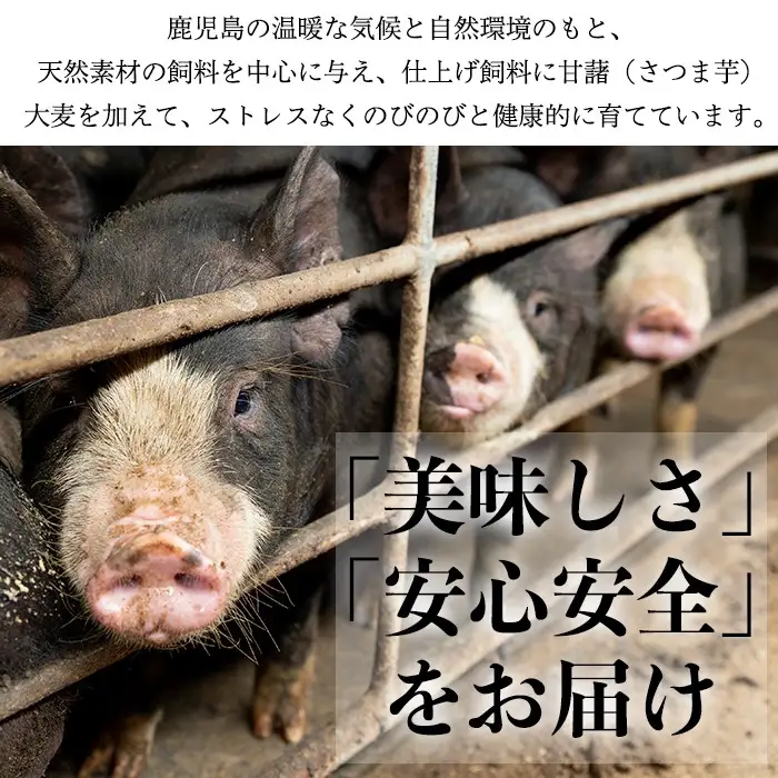 No.403 鹿児島県産黒豚肉使用！黒豚バラエティ詰め合わせ(3種・合計830g)国産 九州産 黒豚 豚肉 焼き豚 焼豚 フランクフルト ウインナー 惣菜 おかず 弁当 小分け【コワダヤ】